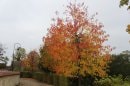 Vironvay haut en couleurs